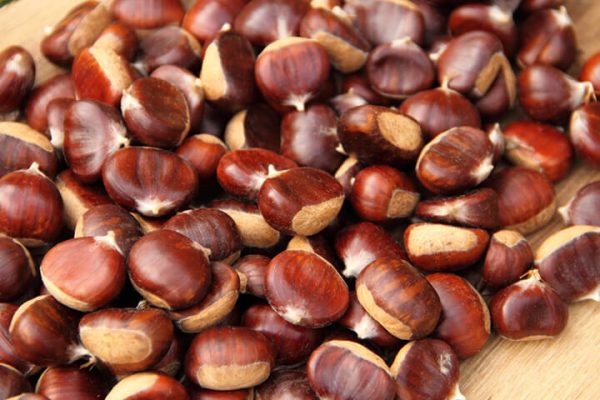 15 loại hạt tốt hơn cả thuốc có thể bạn chưa kịp biết 5 hat de