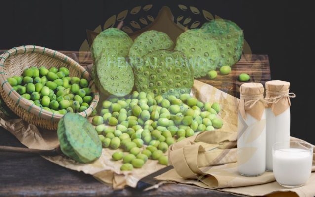 Cách làm sữa hạt sen ngon không