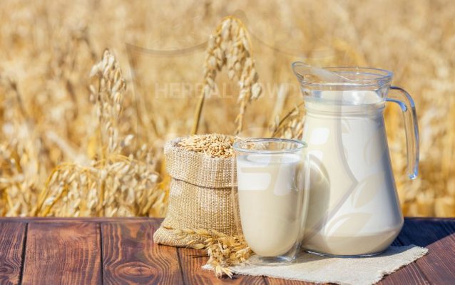 Sữa yến mạch rất dễ làm, dễ uống và cung cấp nhiều dưỡng chất giúp tăng đề kháng cho cơ thể