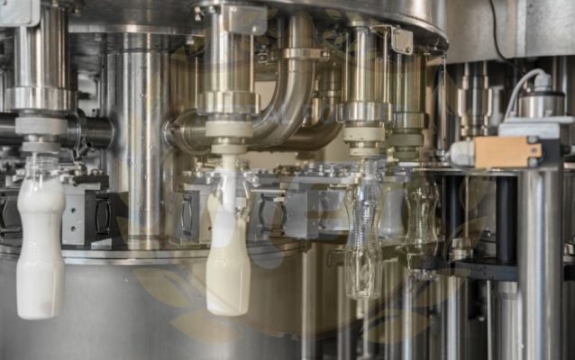 nhận gia công thương hiệu sữa từ ác loại hạt