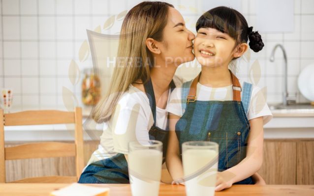 Các loại sữa hạt đóng hộp