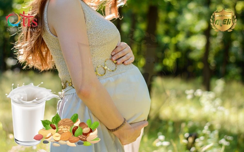 OTIS GIỚI THIỆU SỮA HẠT MELI MUM NGUYÊN XƠ MỚI DÀNH CHO BÀ BẦU