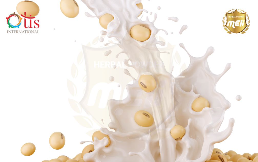 Cách Làm Sữa Mầm Đậu Nành Tươi