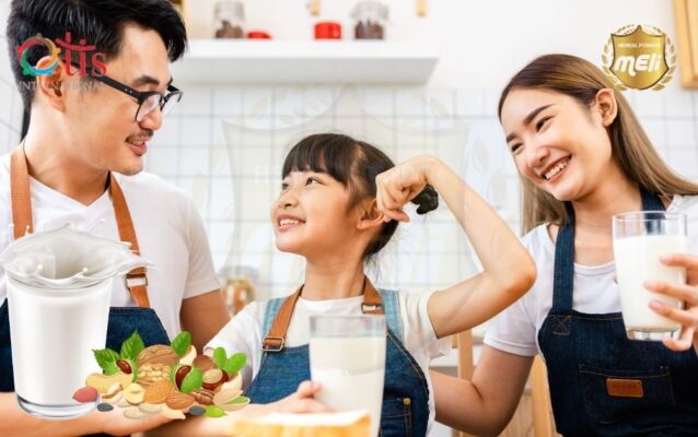 Uống Sữa Hạt Trước Khi Đi Ngủ