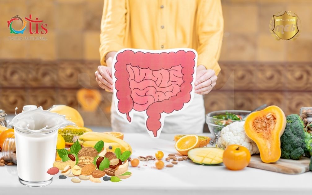 Dễ tiêu hóa và hấp thụ