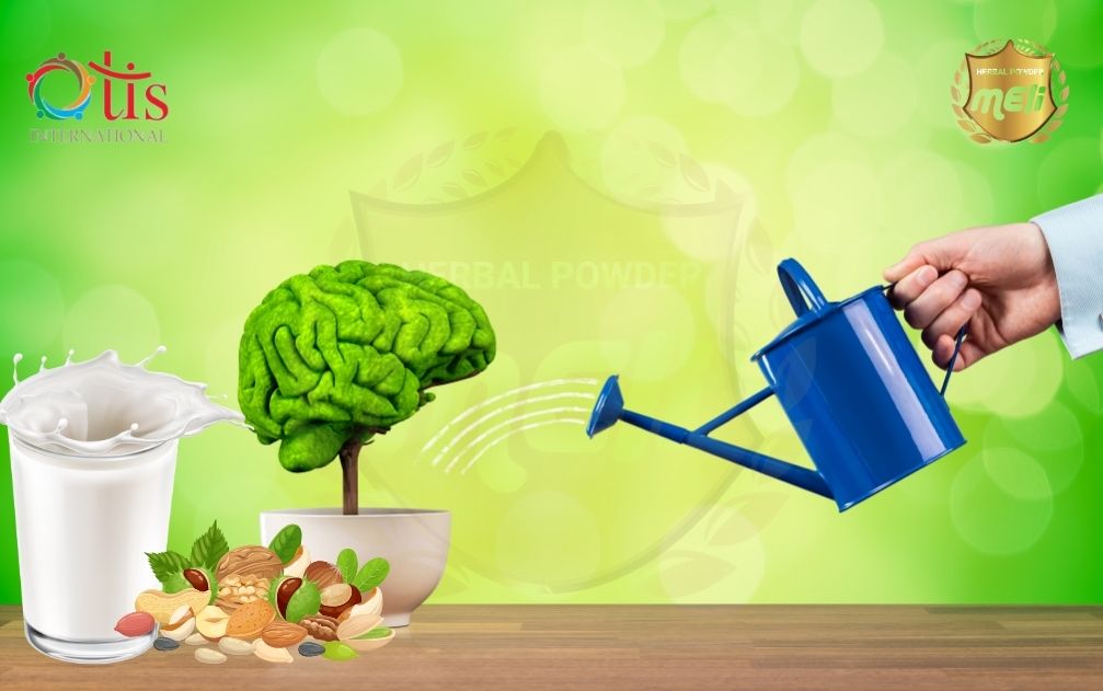 Tăng Cường Trí Nhớ Và Sự Tập Trung