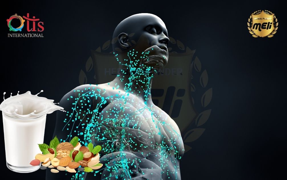 Sữa Hạt MELI CHRONIC 3