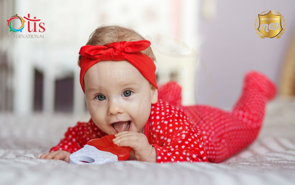 sữa hạt MELI nguyên xơ 13