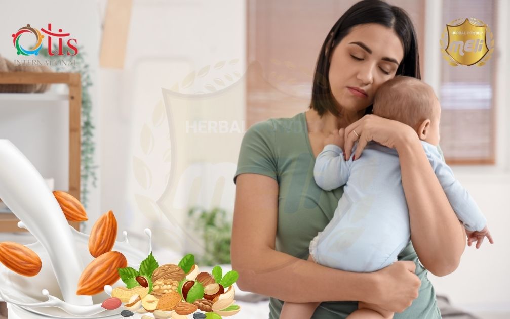 Tầm Quan Trọng Của Chế Độ Dinh Dưỡng Sau Sinh