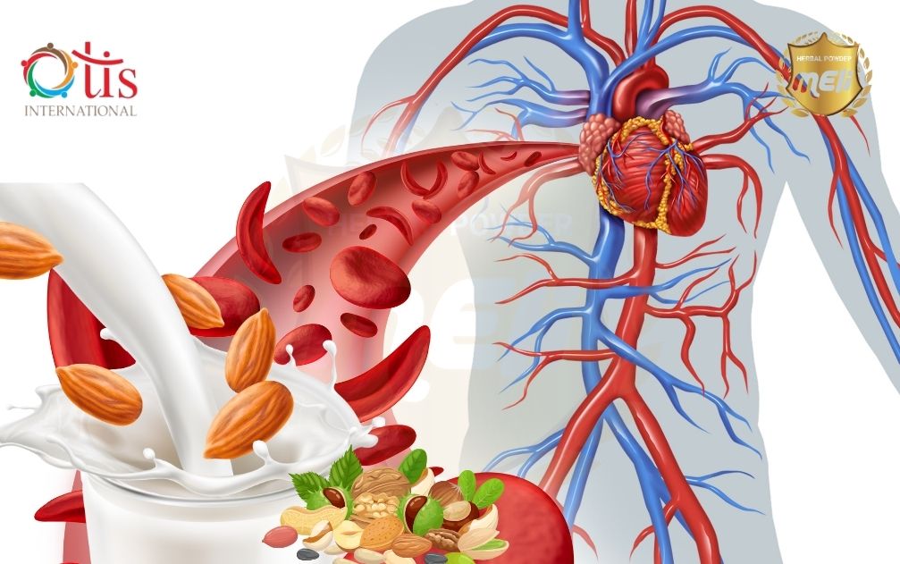 Cải Thiện Lưu Thông Máu