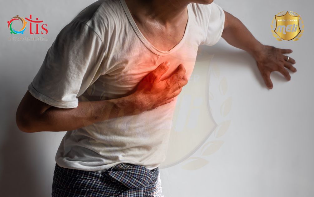 Nguyên Nhân Gây Thiếu Máu Cơ Tim Cục Bộ