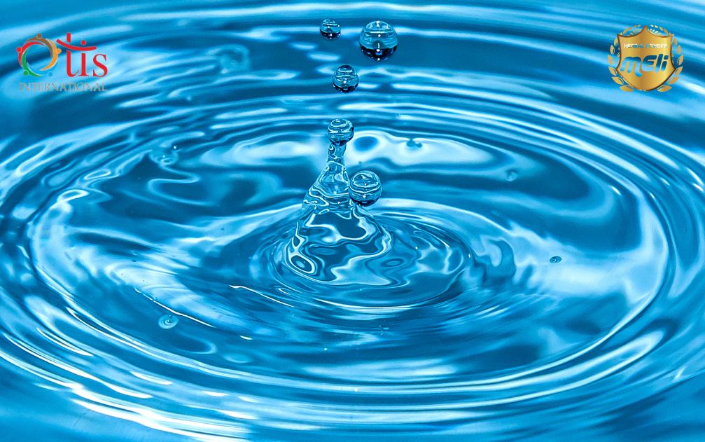 4 nhóm chất dinh dưỡng cho trẻ có thể bạn chưa biết 5