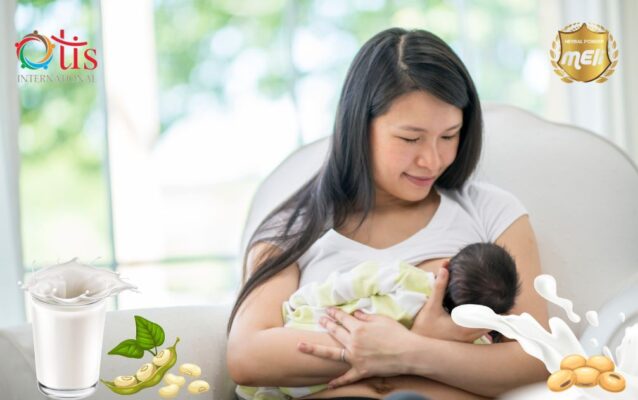 Lợi ích của mầm đậu nành cho bà mẹ đang cho con bú