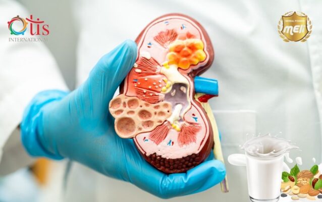 Suy Thận Nên Bổ Sung Sữa Hạt MELI MENLY