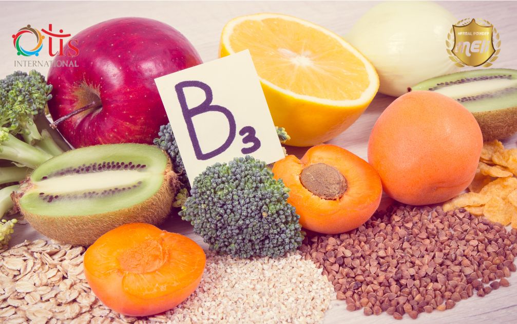 Cung cấp Vitamin và khoáng chất