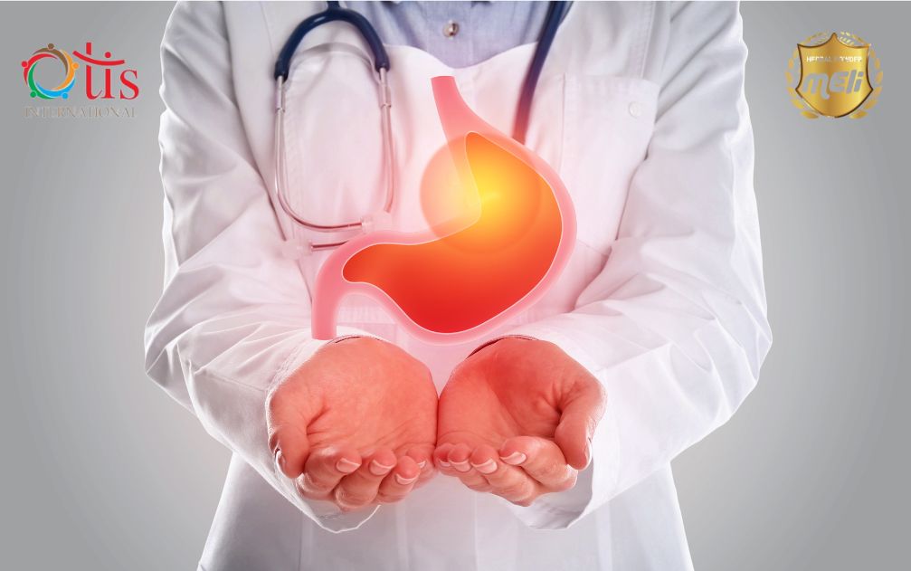 Tăng cường sức khỏe tiêu hóa