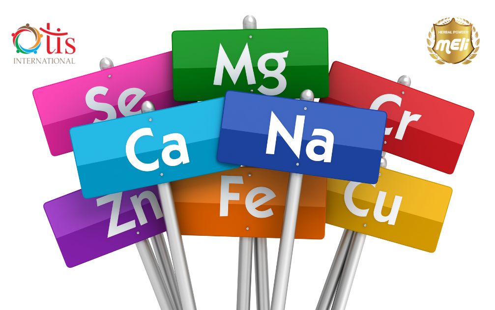 Bổ sung vitamin và khoáng chất thiết yếu