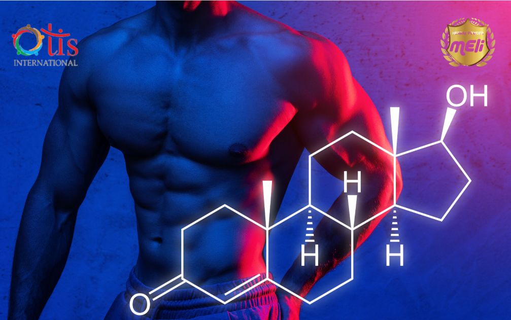 Cân bằng hormone testosterone