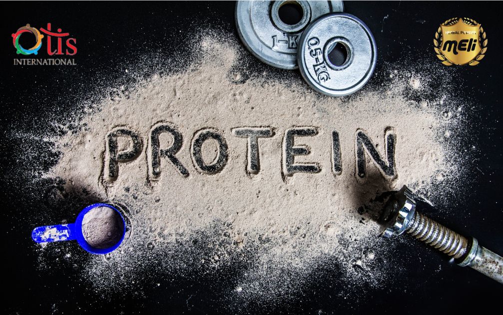 Thiếu protein đa dạng