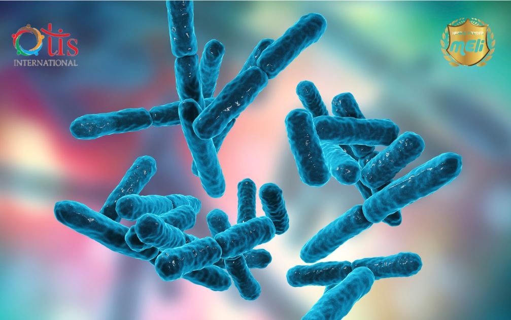 Ứng dụng kỹ thuật lên men vi sinh tự nhiên