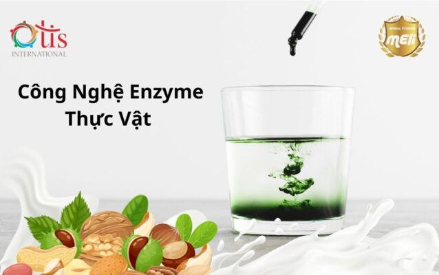 Gia Công Sữa Hạt Bằng Công Nghệ Enzyme Thực Vật 2025 2