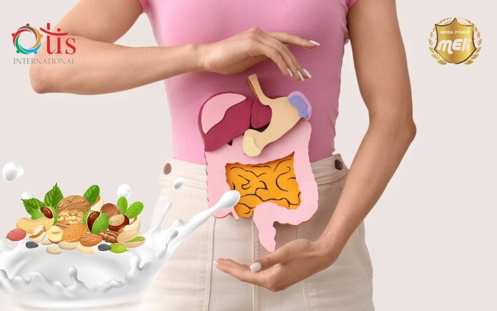 Hỗ Trợ Tiêu Hóa