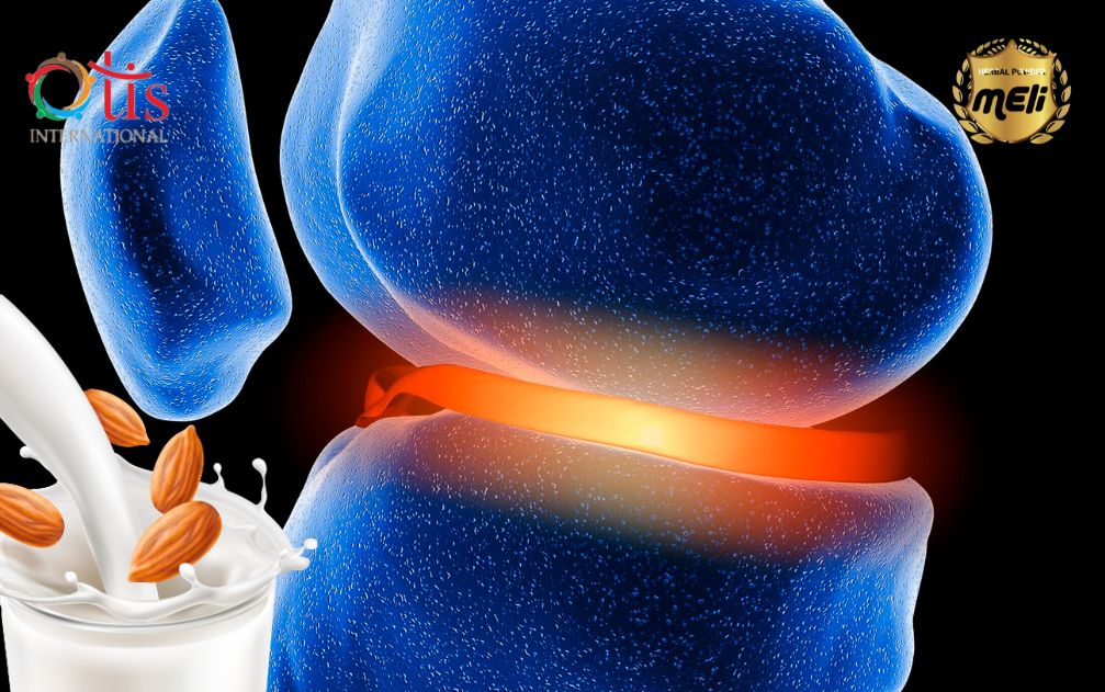 Vì Sao Sữa Hạt Tốt Cho Xương Khớp