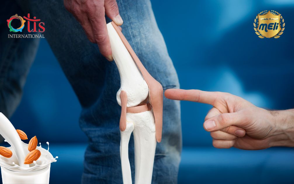 Thành Phần Dinh Dưỡng Cao - Hỗ Trợ Xương Khớp Tốt Nhất