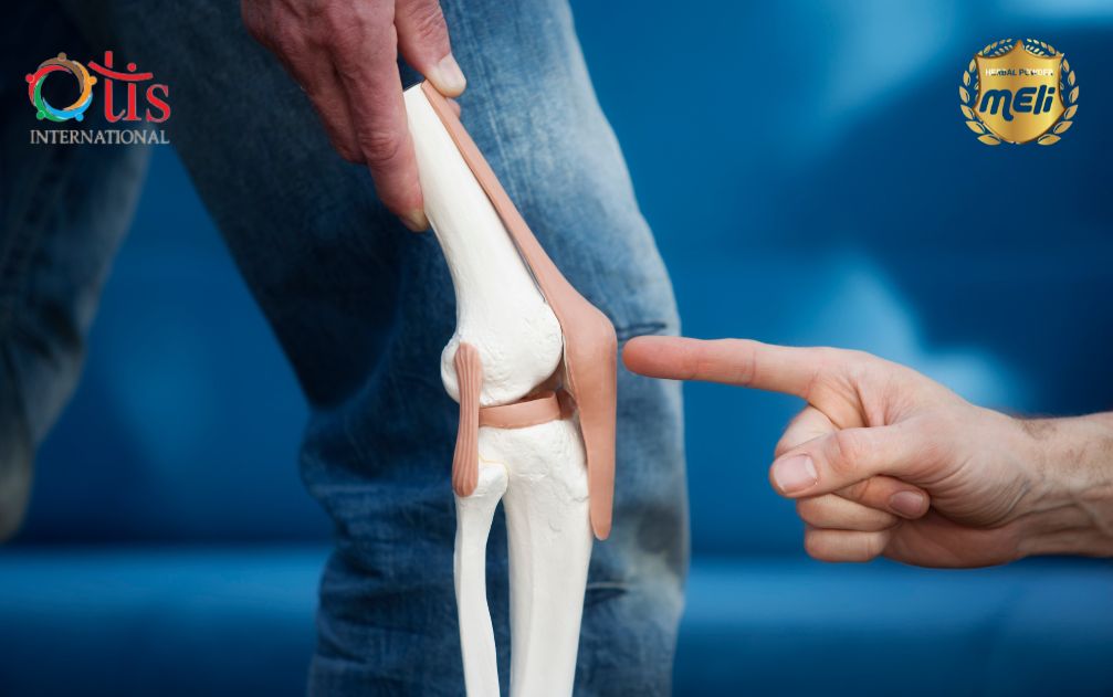 Đau Nhức Khớp, Đặc Biệt Khi Cử Động