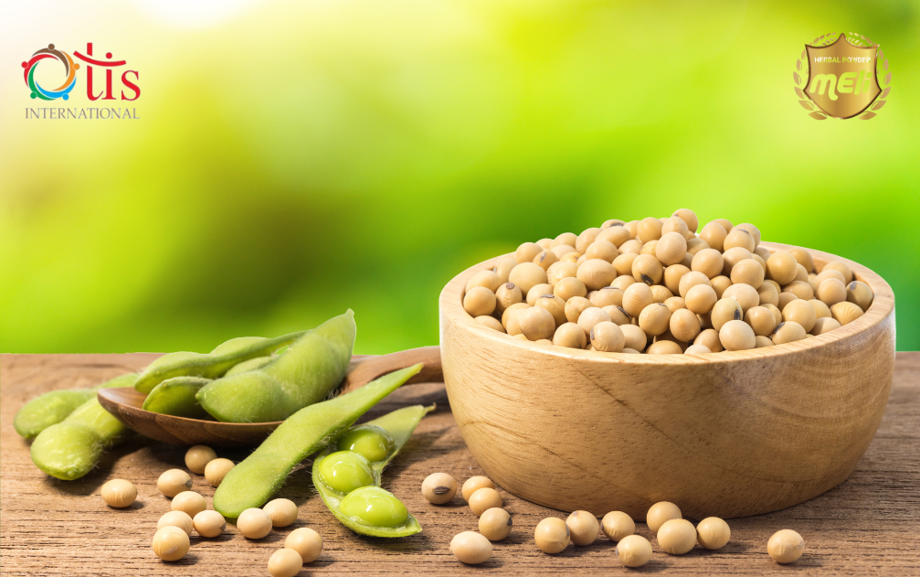 Lưu Ý Để Mix Sữa Đậu Nành Đúng Cách Tại Nhà